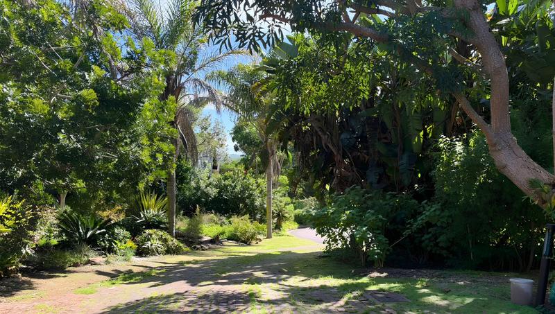 4 Bedroom Property for Sale in Mossienes Western Cape